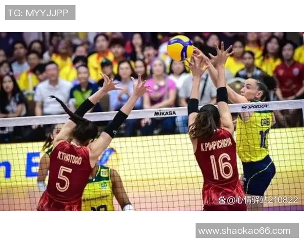 深圳排球队创历史新高排球耐力排名引发广泛关注与讨论