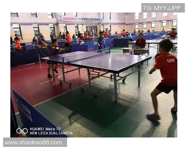 西安乒乓球队进攻策略分析及其在比赛中的得失总结