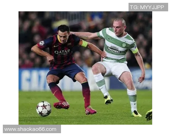 赛后分析：上海排球队与成都排球队在比赛中速度对比的深度探讨