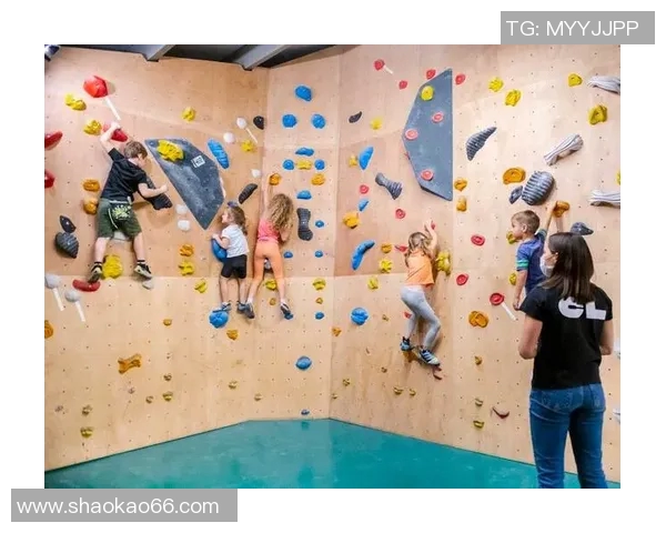 攀岩巨献:深入解析上海攀岩队的战术与训练秘诀 攀岩巨献:深入解析上海攀岩队的战术与训练秘诀