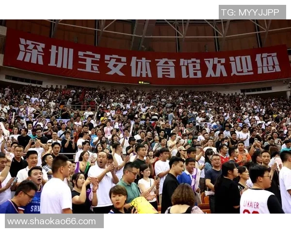 深圳排球队团队协作新模式引发热议助力竞技水平提升