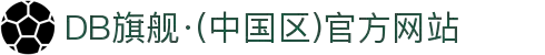 DB旗舰·(中国区)官方网站