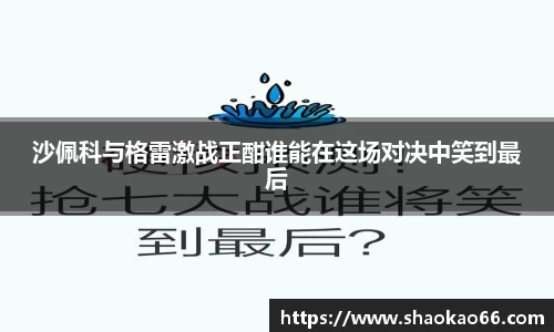 沙佩科与格雷激战正酣谁能在这场对决中笑到最后