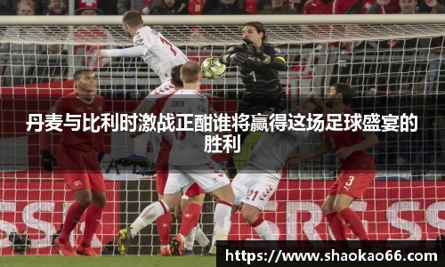 丹麦与比利时激战正酣谁将赢得这场足球盛宴的胜利