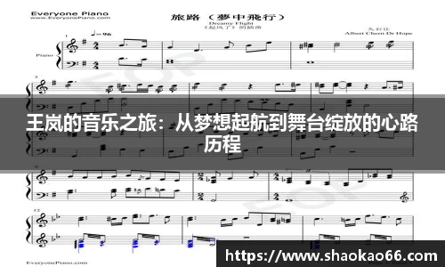 王岚的音乐之旅：从梦想起航到舞台绽放的心路历程